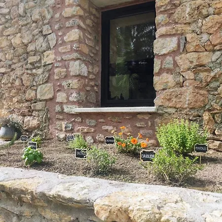 Guest house Moline