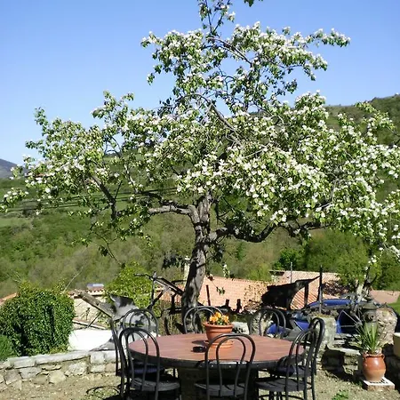 Guest house Moline
