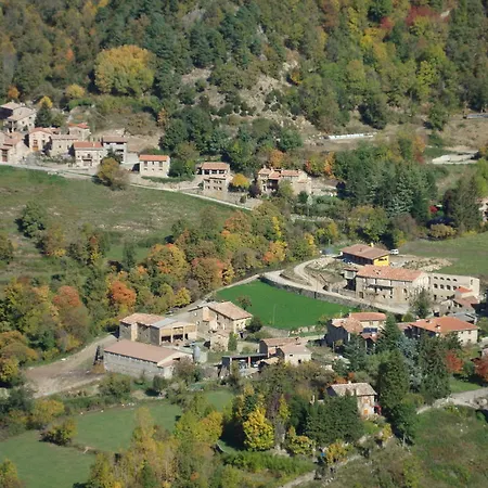 Moline Bruguera