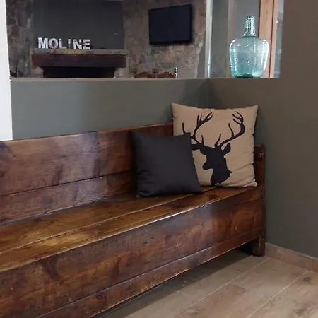 Guest house Moline *