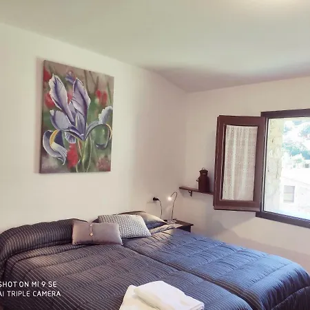 Guest house Moline