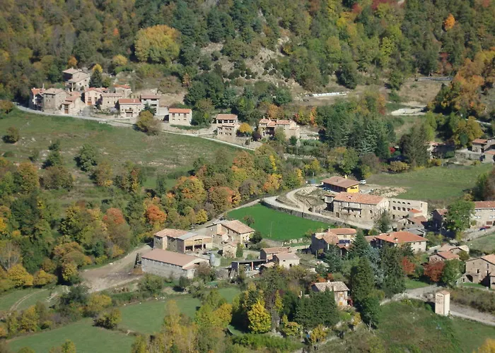 Moline Bruguera