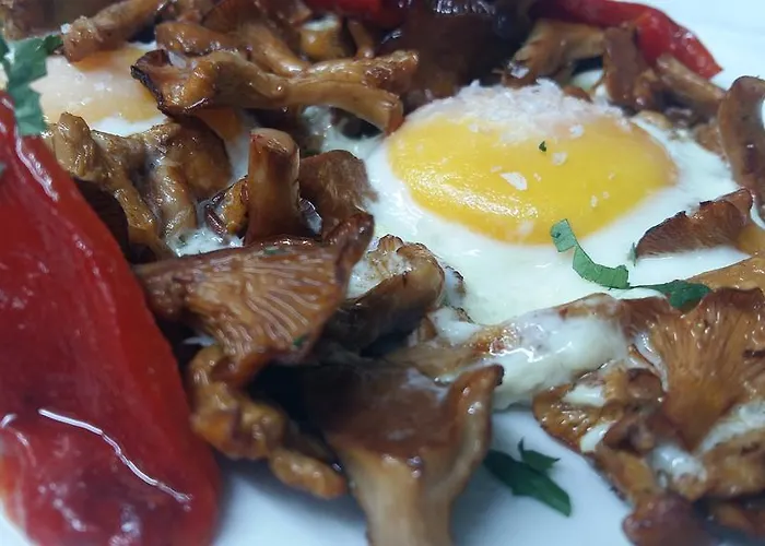 Moline بيت ضيافة Bruguera